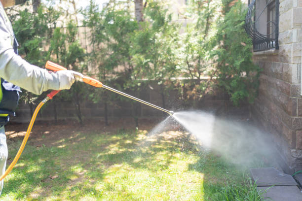 Best Wasp Removal Services  in Cumming, GA