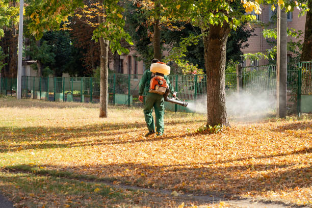 Best Best Pest Control Companies  in Cumming, GA