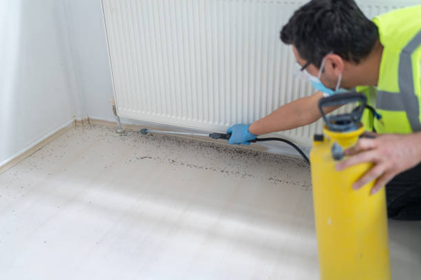 Best Pest Control Cost  in Cumming, GA