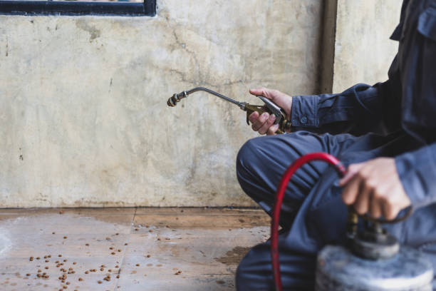 Best Affordable Pest Control Services  in Cumming, GA