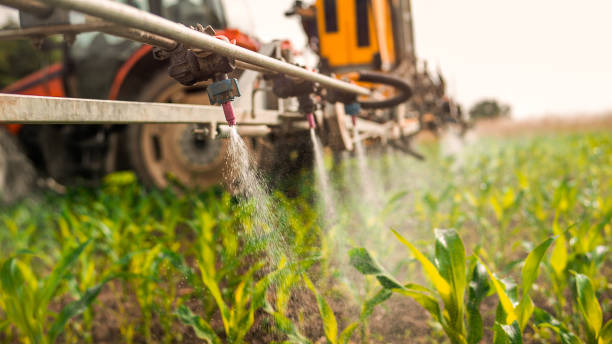 Best Mosquito Control Services  in Cumming, GA